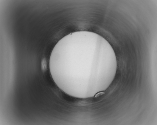 X0000101700075200807311440