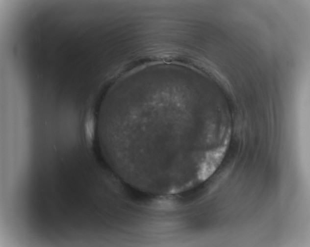 X0000101700076200807311440