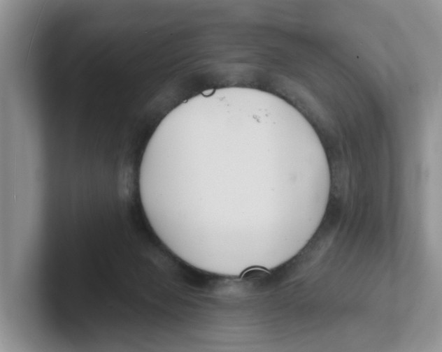 X0000101700077200807311440