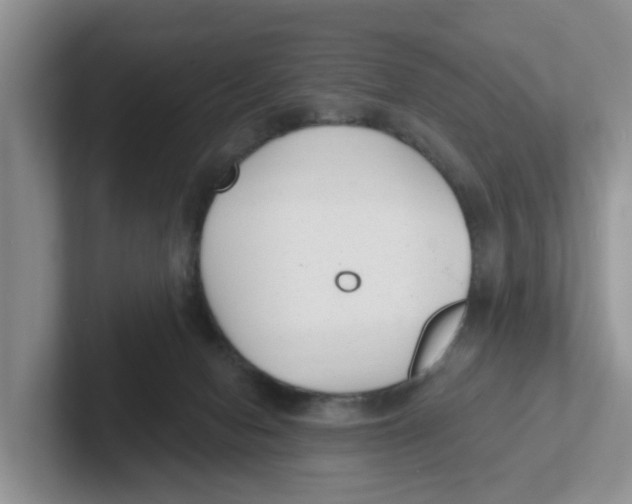 X0000101700078200807311440