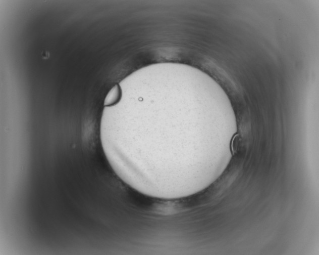 X0000101700079200807311440