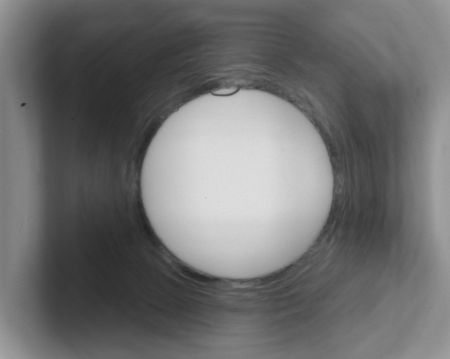 X0000101700081200807311440