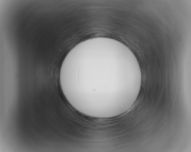 X0000101700082200807311440