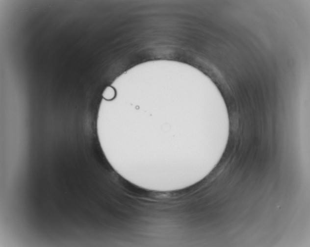 X0000101700083200807311440