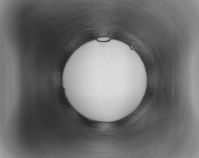 X0000101700085200807311440