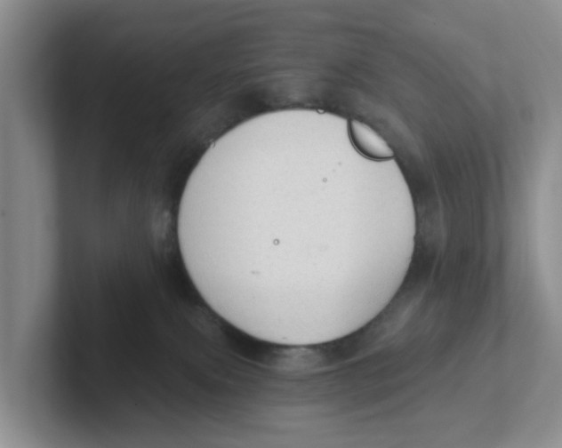 X0000101700087200807311440
