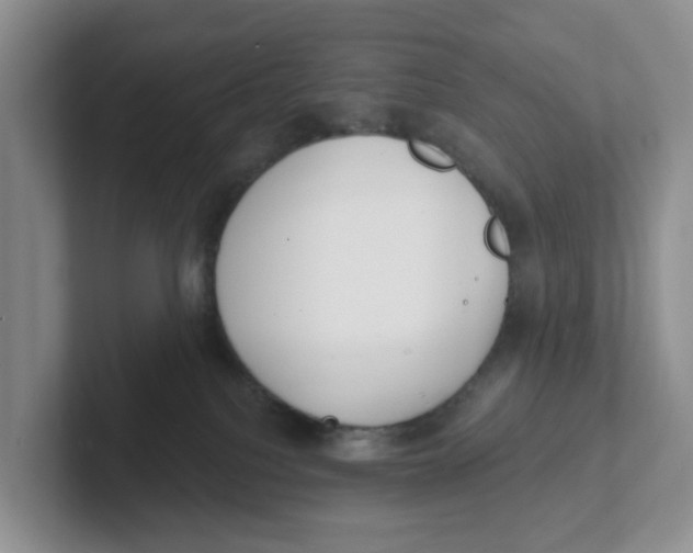 X0000101700088200807311440