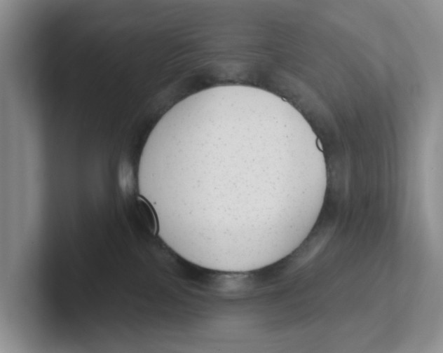 X0000101700089200807311440