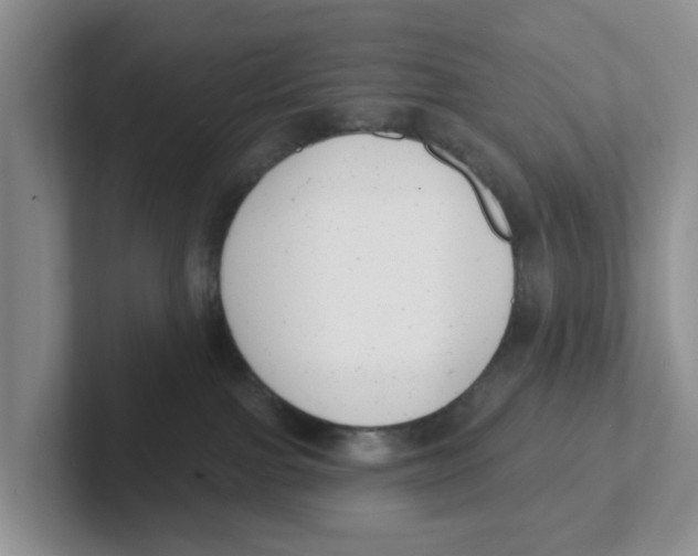 X0000101700091200807311440