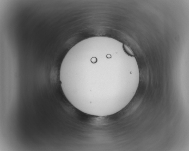 X0000101700092200807311440