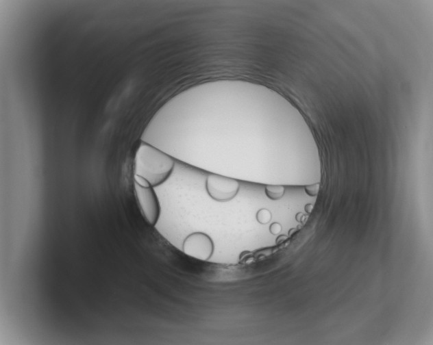 X0000101700093200807311440