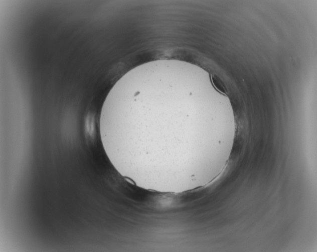 X0000101700094200807311440