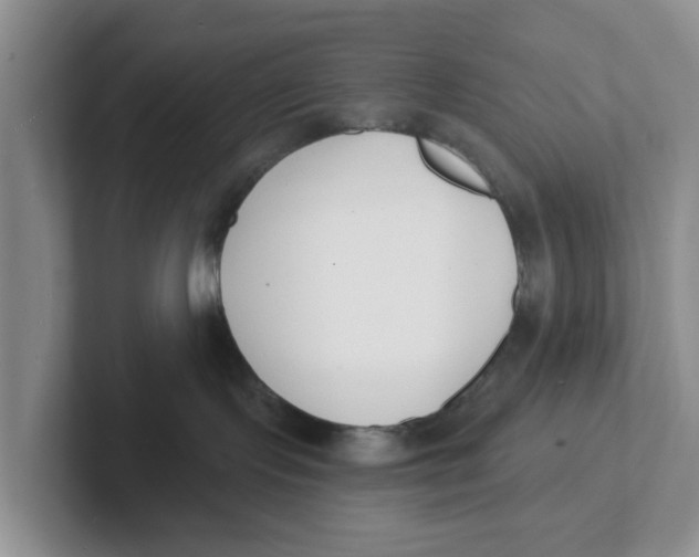 X0000101700095200807311440