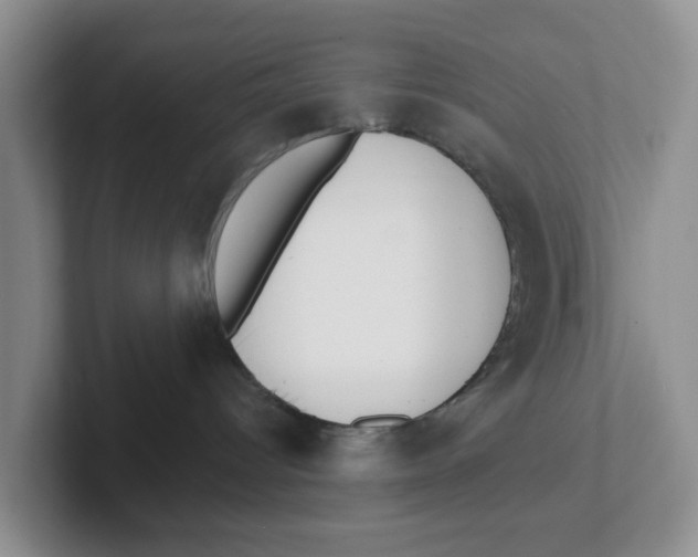X0000101700096200807311440