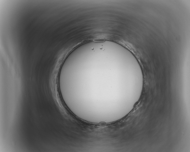 X0000101700097200807311440
