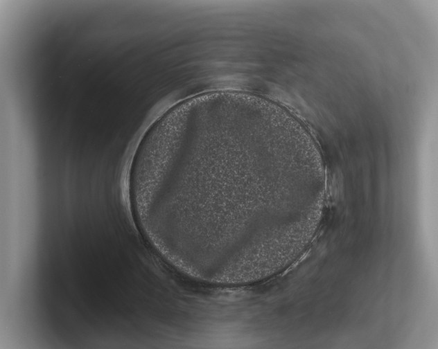 X0000101700099200807311440