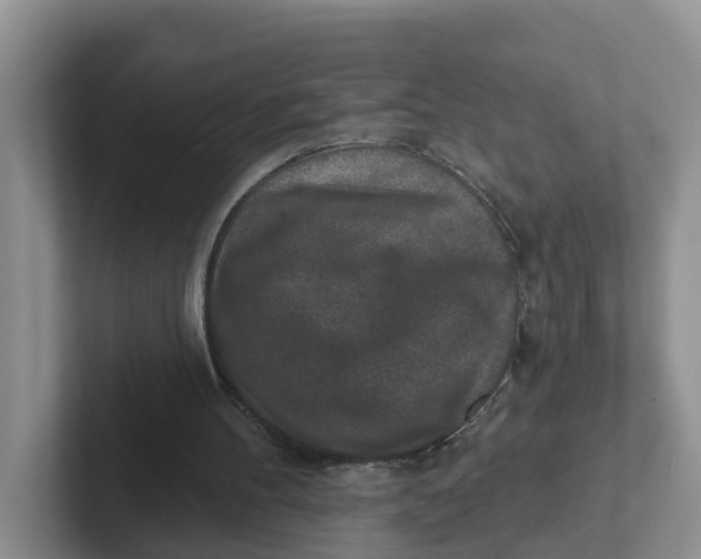 X0000101700100200807311440
