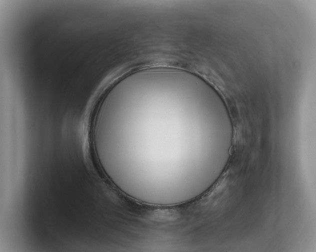 X0000101700101200807311440