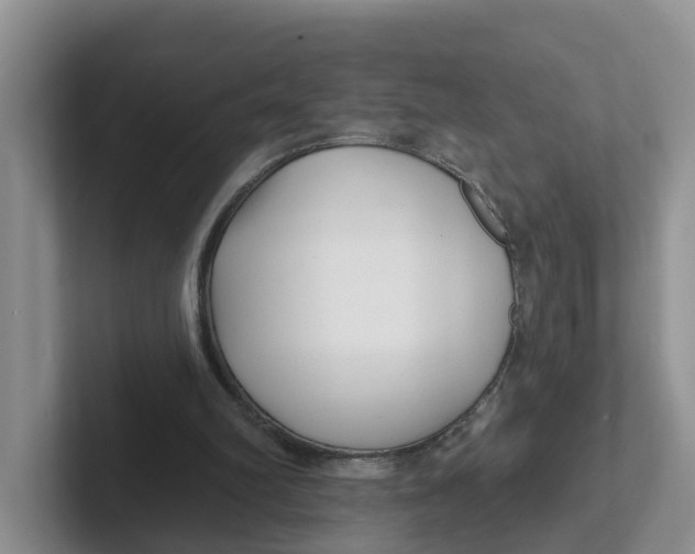 X0000101700102200807311440