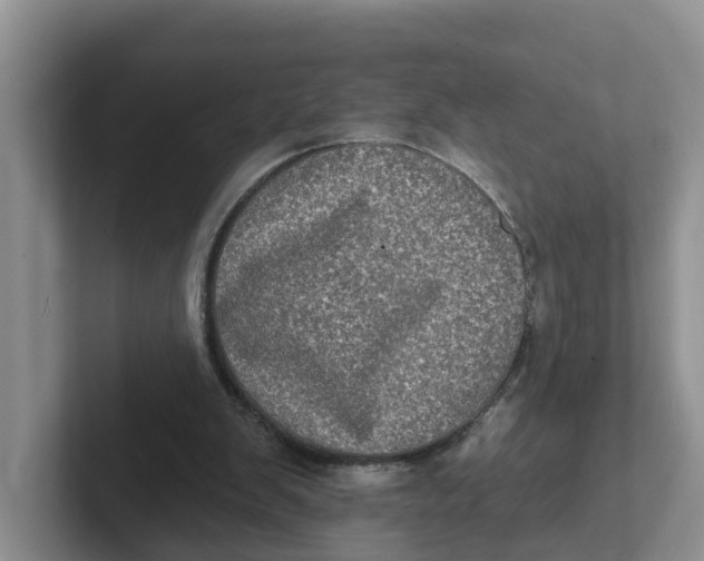 X0000101700103200807311440