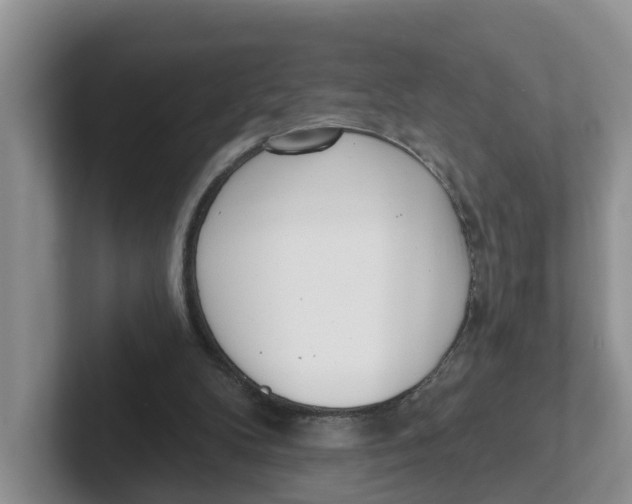 X0000101700104200807311440