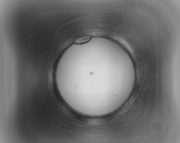 X0000101700105200807311440