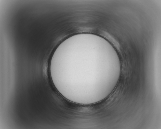 X0000101700107200807311440
