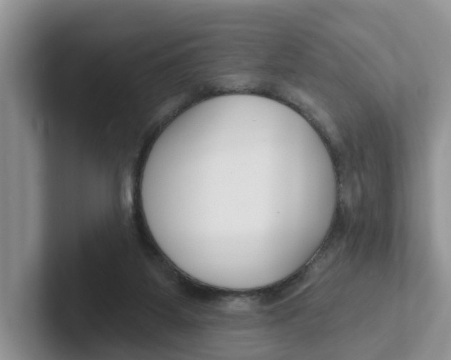 X0000101700115200807311439