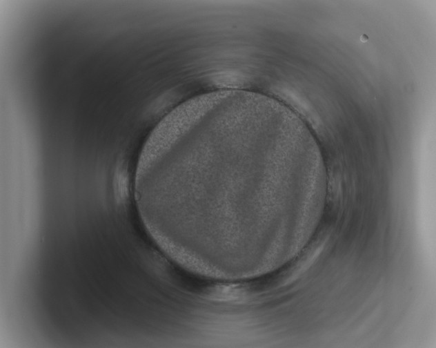 X0000101700117200807311439