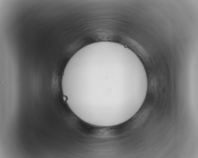 X0000101700121200807311439
