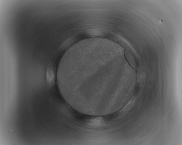 X0000101700124200807311439