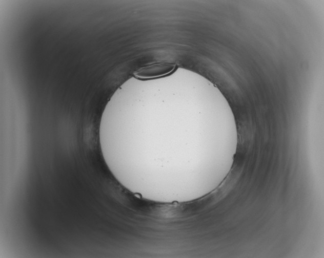 X0000101700136200807311439