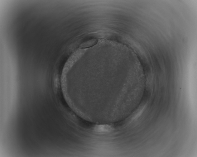 X0000101700137200807311439