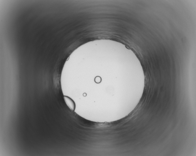 X0000101700141200807311439