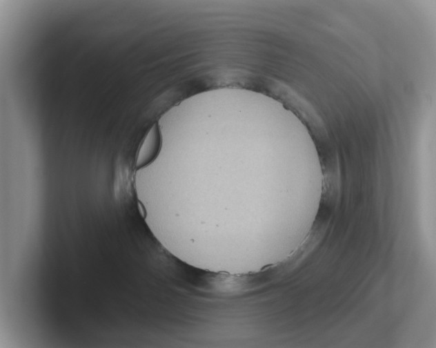 X0000101700142200807311439