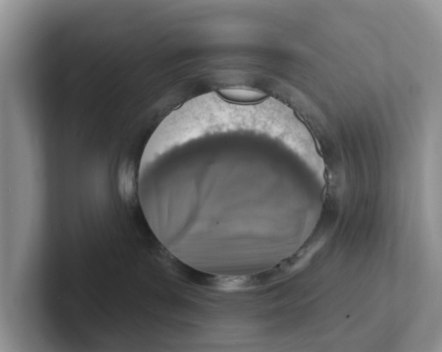 X0000101700143200807311439