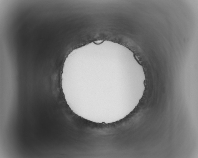 X0000101700144200807311439