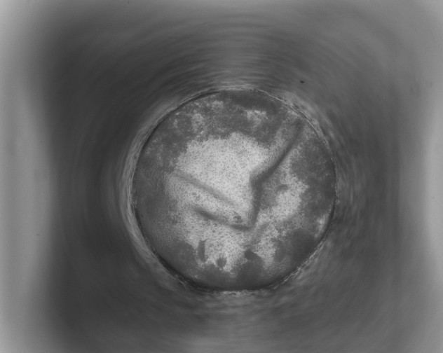 X0000101700145200807311438
