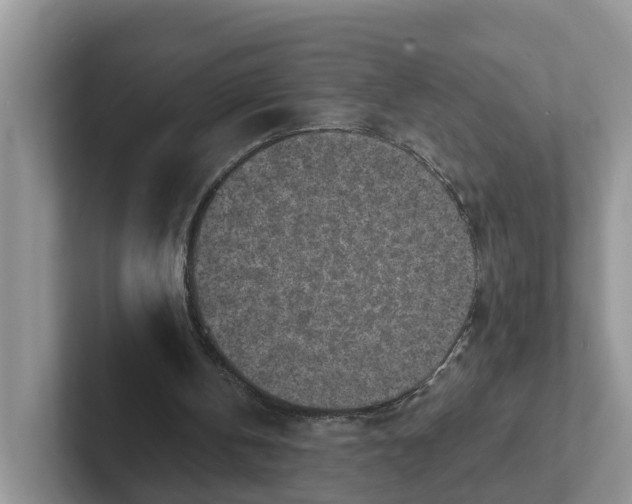 X0000101700146200807311439