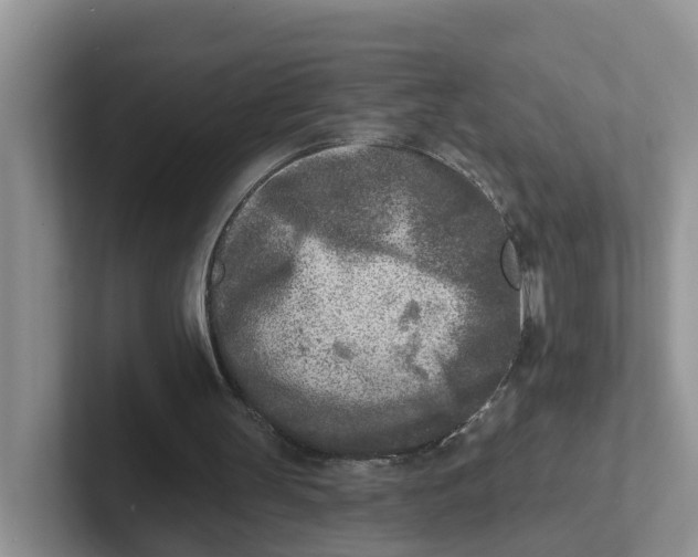 X0000101700147200807311439