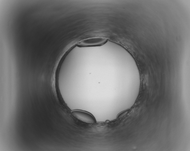 X0000101700148200807311439