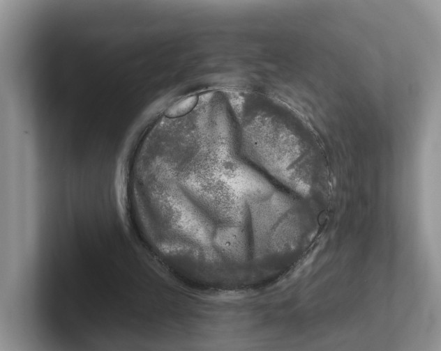 X0000101700149200807311439