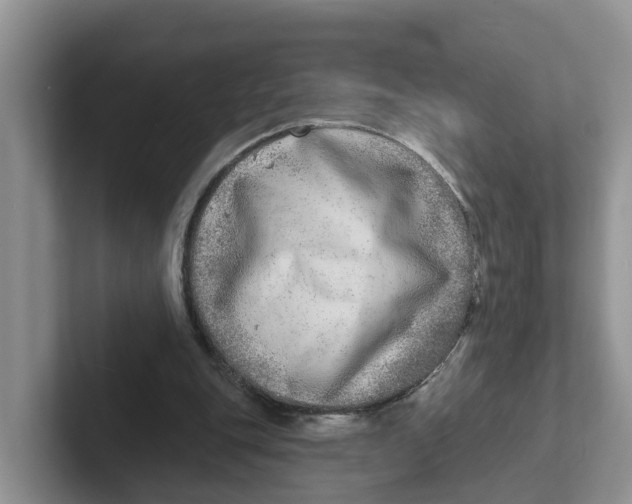 X0000101700151200807311439