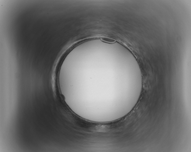 X0000101700152200807311439