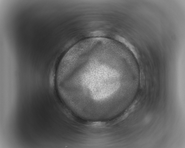 X0000101700153200807311439