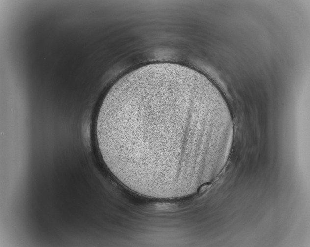 X0000101700154200807311439