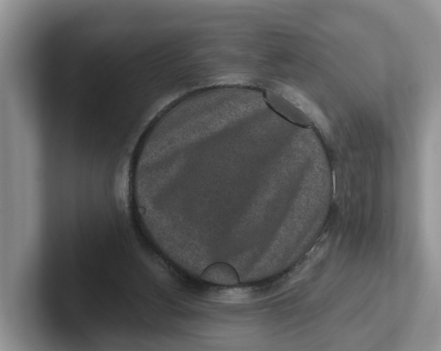 X0000101700156200807311439