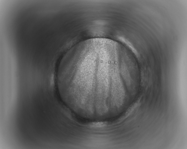 X0000101700161200807311439