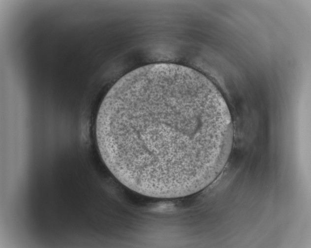 X0000101700162200807311439