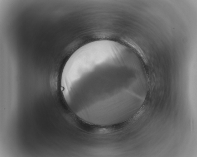X0000101700163200807311439